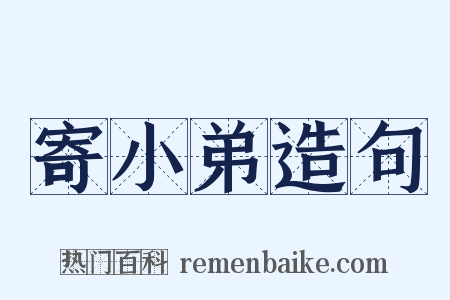寄小弟造句是什么意思的图片